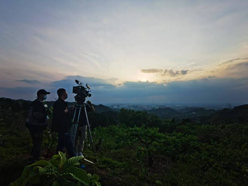 聚焦万宁市产品宣传视频拍摄公司，用专业实力铸就品牌传播传奇